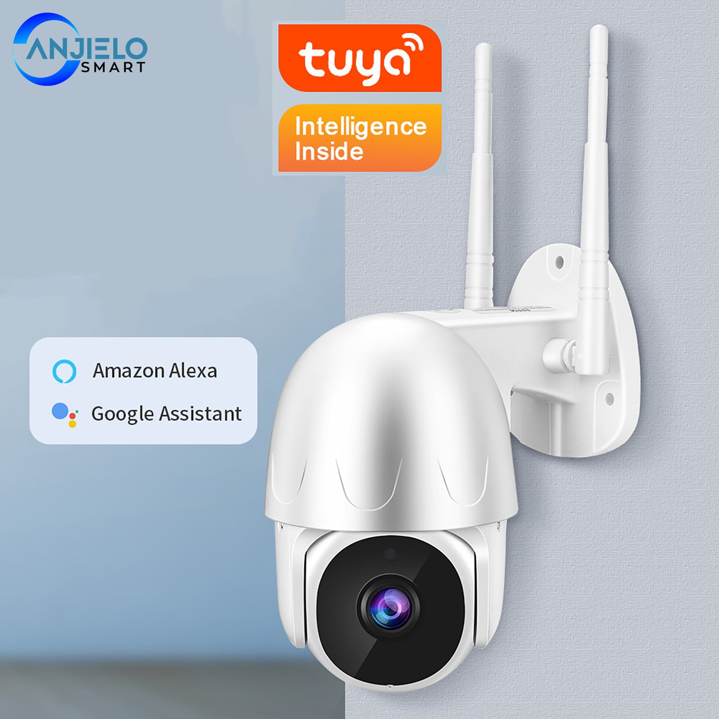 AnjieloSmart Tuya Smart Security Camera HD 1080P WiFi IP Dome Camera Outdoor